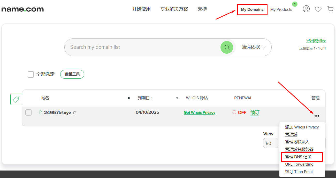 Name.com 管理面板“我的域名”部分的屏幕截图